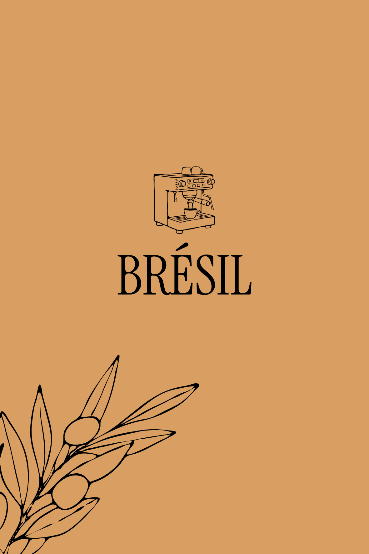 Brésil — Noisette, Chocolat noir, Corps rond