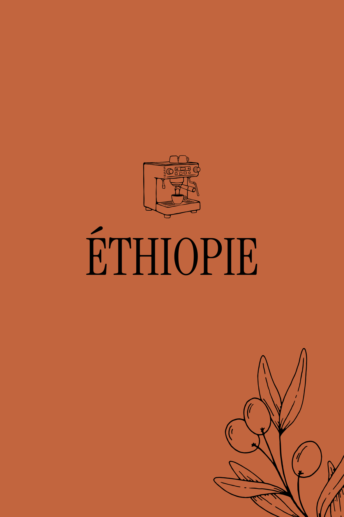 Éthiopie — Noisette, Floral, Doux