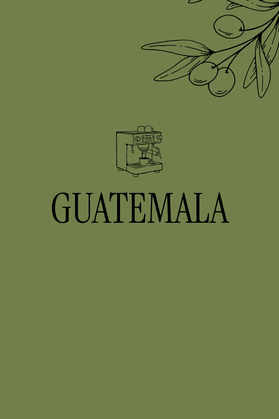 Guatemala — Chocolat noir, Corps rond, Équilibré