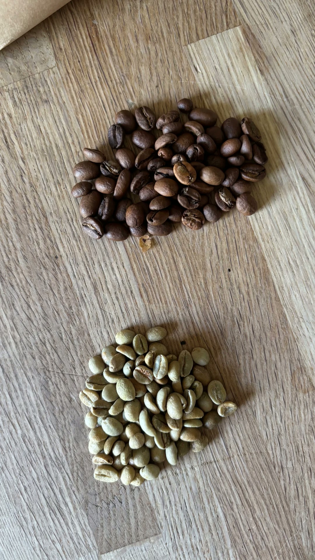 Comparaison de grains de café verts et torréfiés